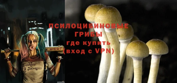 2c-b Покачи