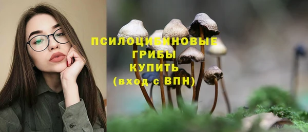 мдма Бикин